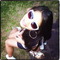 Shanice N.