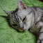 Takashi M.