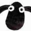 Baa B.
