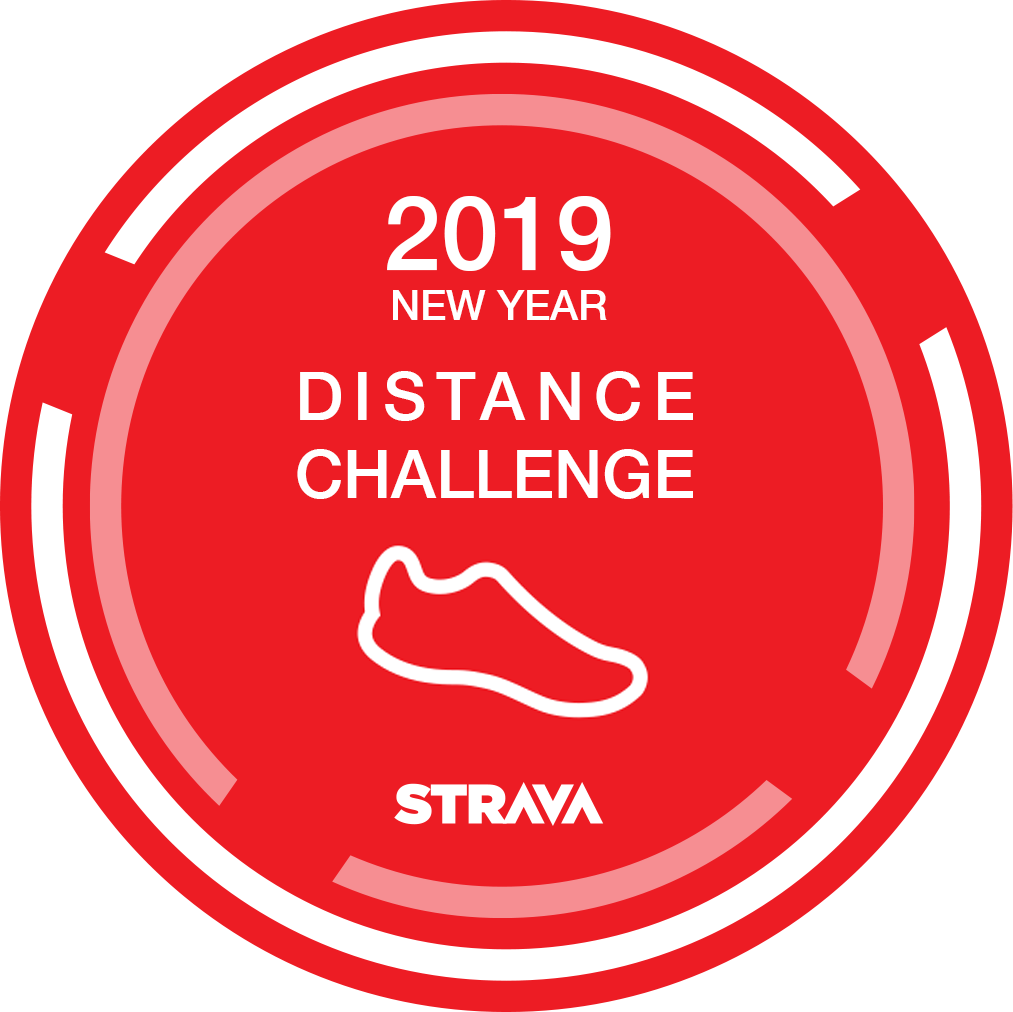 2019年ニューイヤーチャレンジ