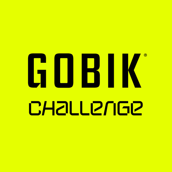 Gobik Challenge: I spy