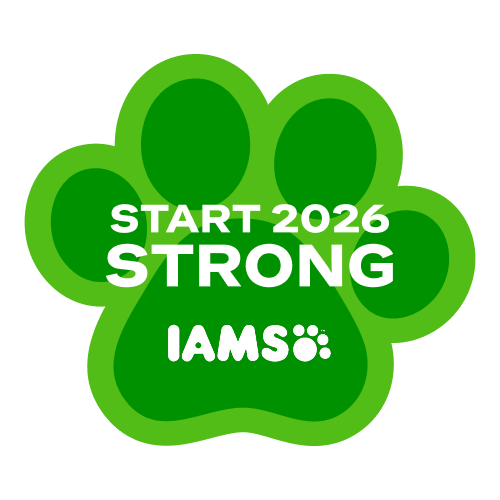 Start 2026 Strong: Powered by IAMS