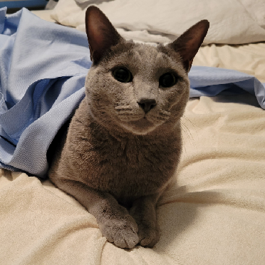 Stephen Rost | Strava Cyclist Profile