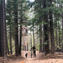 Michael Raffaini avatar image.