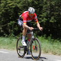 Nicolas Bittel