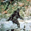 Sas Quatch