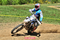 Damiano L
