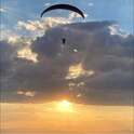 Dawn Voet avatar image.