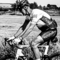 Wim V