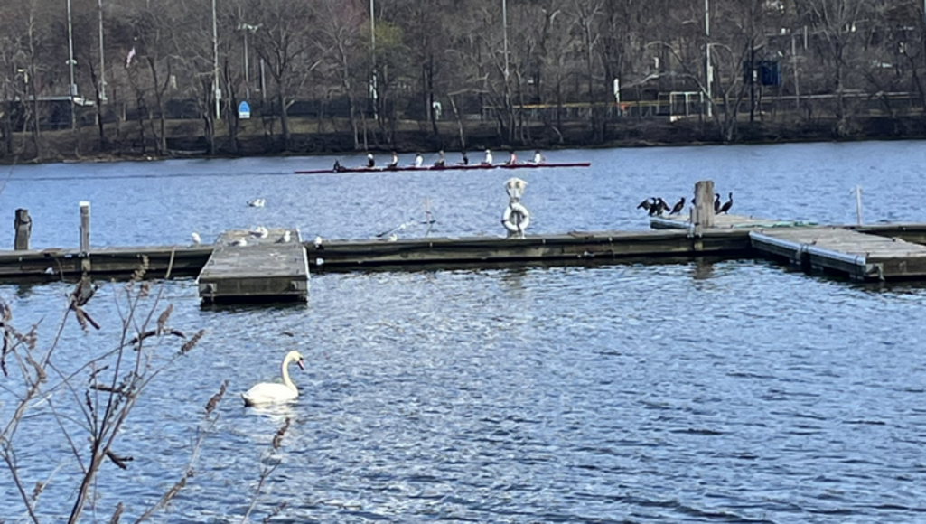 Boston , MA | Disc Medicine Run Club