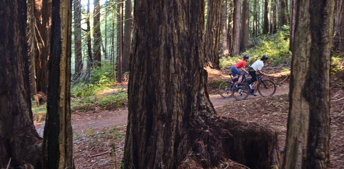 Trek Ride Club Trek Ride Club | Strava